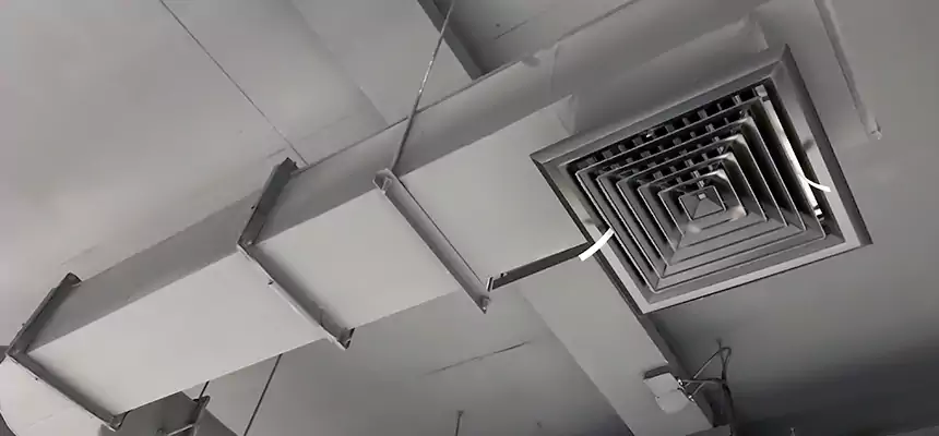 Our Pest Removal From Ducts Services in North Little Rock, AR