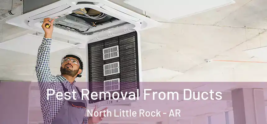  Pest Removal From Ducts North Little Rock - AR