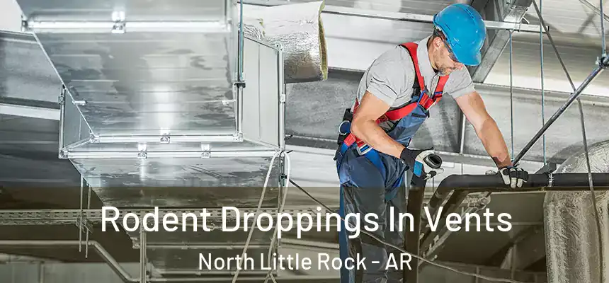  Rodent Droppings In Vents North Little Rock - AR