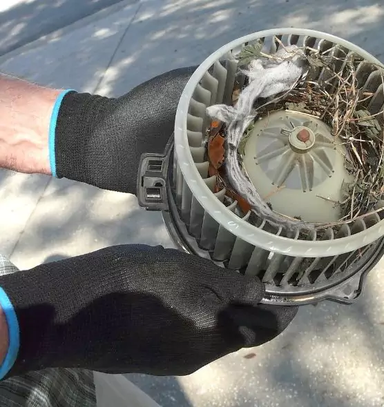 About Air Duct Mice Removal in North Little Rock, AR