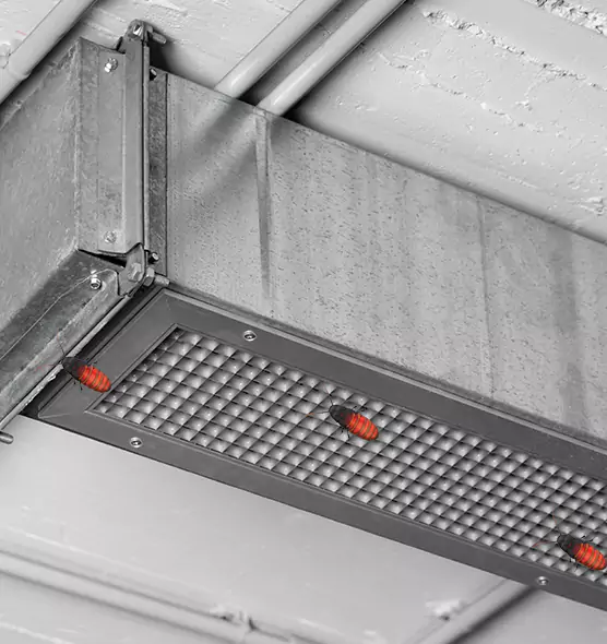 Affordable Insect Removal from Air Ducts in North Little Rock, AR